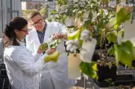 Staying Informed with Life Science News, Pennington