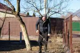 Reliable Old Sheds Removal Services in Dublin, Dublin
