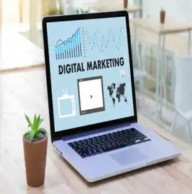 Top SEO Company in Delhi for Higher Google Ranking, Gurgaon