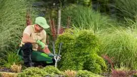 Why Professional Landscaping Services Melbourne De, Melbourne