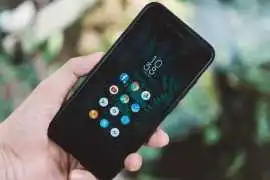What are the benefits of using Flutter over native, City of Parramatta