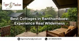 Best Cottages in Ranthambore: Experience Real Wild