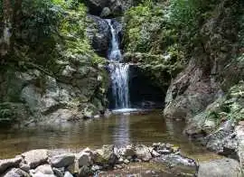 Book a Fiji Waterfall Tour for Lasting Memories, Liverpool