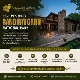  Best Resort in Bandhavgarh National Park , Gurgaon
