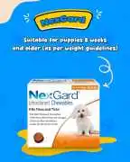 NexGard for Dogs – Monthly Flea & Tick Protection, Acampo