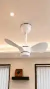 Best Creative Designer Ceiling Fan, $ 0