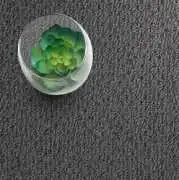Pick a Polypropylene Fabric Carpet Built for Real, Augustine Heights