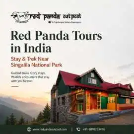 Red Panda Tours in India , Gurgaon