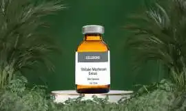 Shiitake Extract Solution for Healthy Skin, $ 32