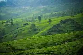 Meghalaya Tour Guide - Complete Travel Info, Hauz Khas