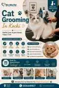 Cat Grooming, Kochi