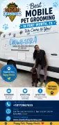 Best Mobile Pet Grooming in Fort Worth, TX , Fort Worth