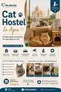 Cat Hostel, Agra