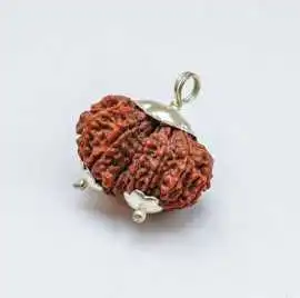 Buy Natural Gauri Shankar Rudraksha Online, Jaipur
