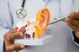Visit the Best ENT Doctor in Ahmedabad, Gandhinagar
