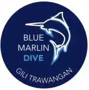 The PADI IDC Gili Trawangan – Gili Islands - Indon