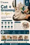 Cat Grooming, Agra