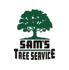 Emergency Tree Removal in Sonoma County CA, Santa Rosa