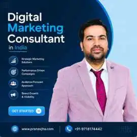 Digital Marketing Consultant in India , Noida