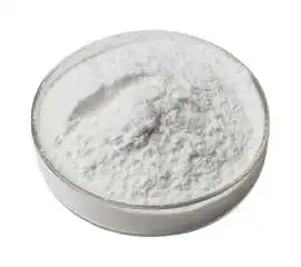 Molecular Sieve Powder for Moisture Control, Vadodara