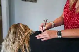 Back Pain Relief with Chiropractic & Wellness, Auburn