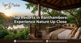 Top Resorts in Ranthambore: Experience Nature 
