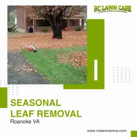 Top Leaf Removal in Roanoke | RC Lawn Care, Roanoke