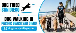 Dog Walking in Pacific Beach: Weather Safety Tips, San Diego