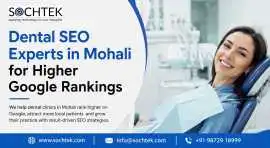 Dental Website SEO Experts in Mohali Tricity, Mohali