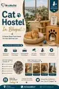 Cat Hostel, Bhopal