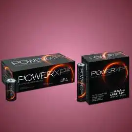 AAA batteries for LED lights, Winter Garden