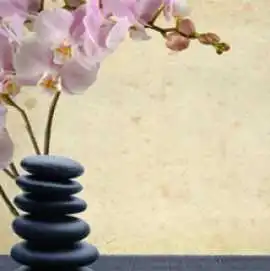 Maple Acupuncture Inc, Vienna