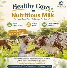 Best a2 cow milk in electronic city Bangalore  , ps 120
