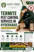 Termite Pest Control Services in Hyderabad, Hyderabad