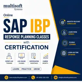 Online SAP IBP Response Planning Classes, Noida