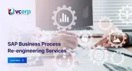 Expert SAP Business Process Improvement Solutions, Ahmedabad
