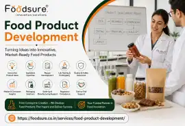 Food Product Development Services by Foodsure, Noida
