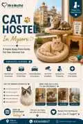 Cat Hostel, Mysore