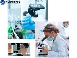 Grey Wonder Land Best Place to Buy Peptides Online, Sheridan
