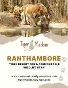 Ranthambore Tiger Resort for a Comfortable stay