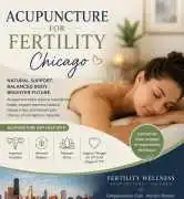Best Chiropractic Fertility Doctor Chicago, Chicago