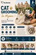 Cat Grooming, Mysore