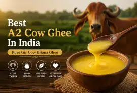Best A2 Cow Ghee In India |Shree Radhey, Jaipur