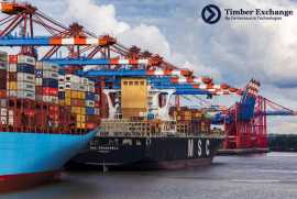 The Transformation to Automate the Forestry, Taby