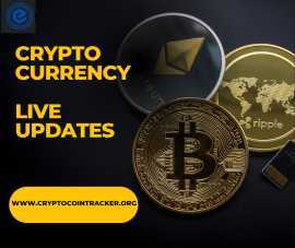 Cryptocurrencies Live Updates, Chandigarh