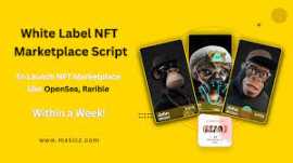 NFT Marketplace Script, Agoura Hills