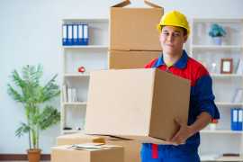 Professional Packers Delta, Delta