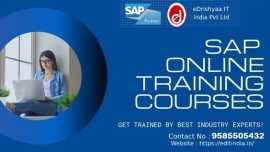 eDrishyaa IT India Pvt. LTD.  (SAP Authorized), Coimbatore