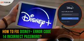 Disney+ Error Code 14 Incorrect Password, New York