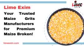 Lime Exim - Trusted Yellow Maize Suppliers, Rajkot